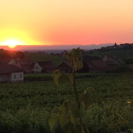 Gite Le Mandle Villa Riquewihr Buitenkant foto