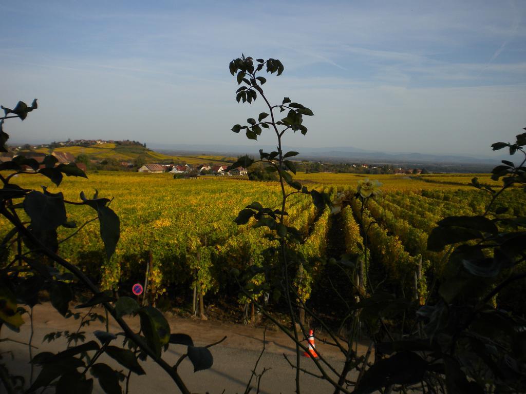 Gite Le Mandle Villa Riquewihr Kamer foto