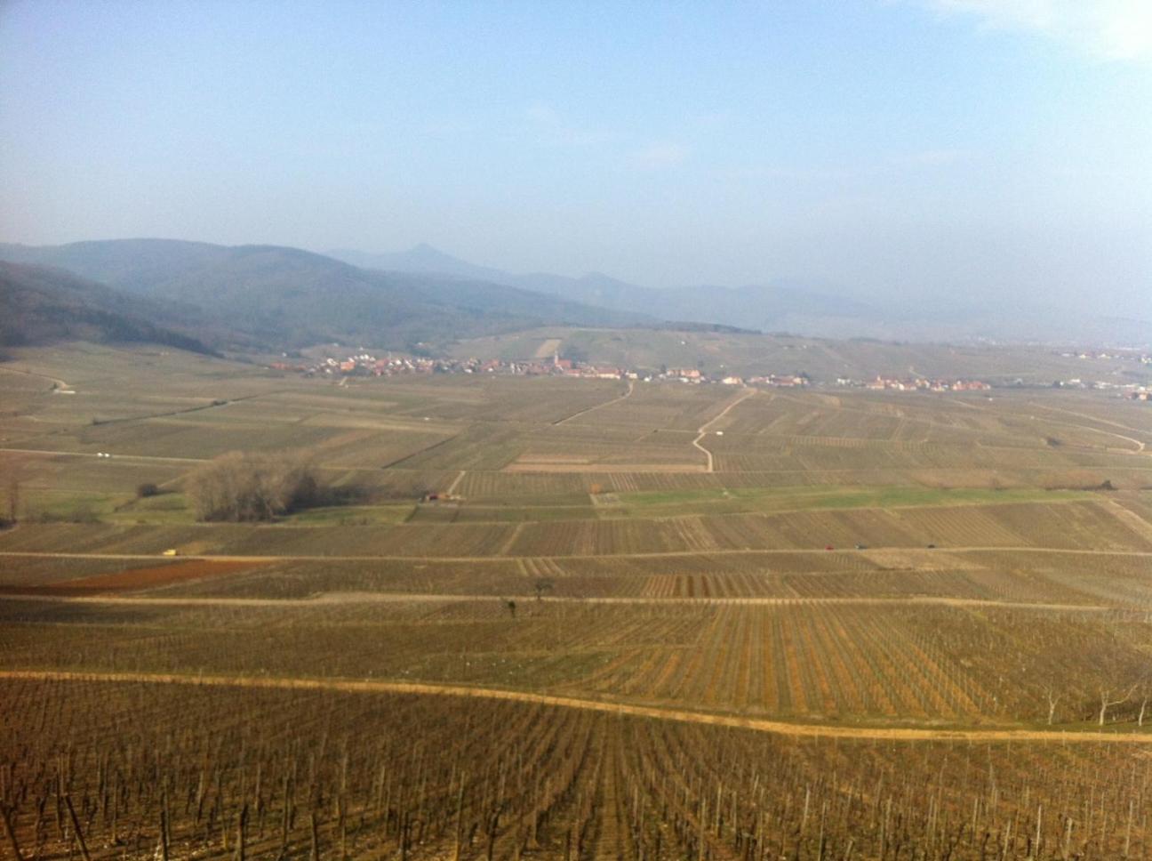 Gite Le Mandle Villa Riquewihr Buitenkant foto