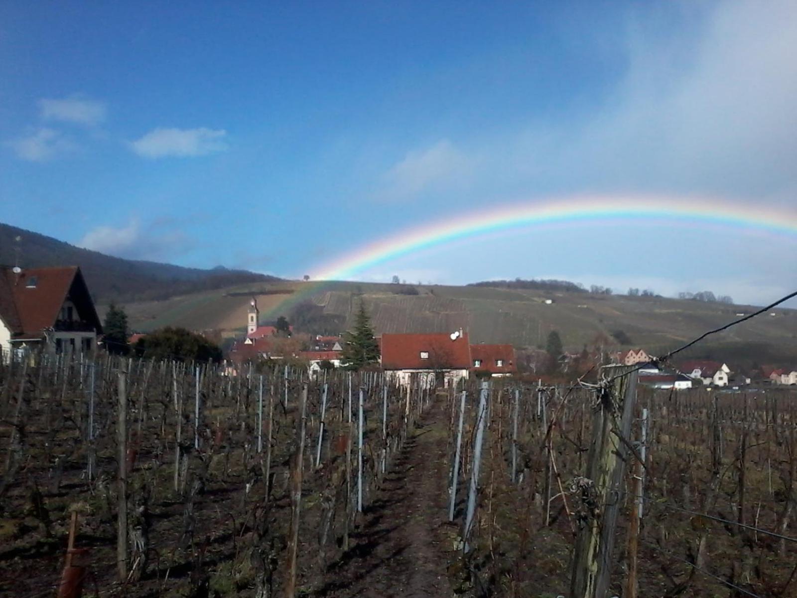 Gite Le Mandle Villa Riquewihr Buitenkant foto