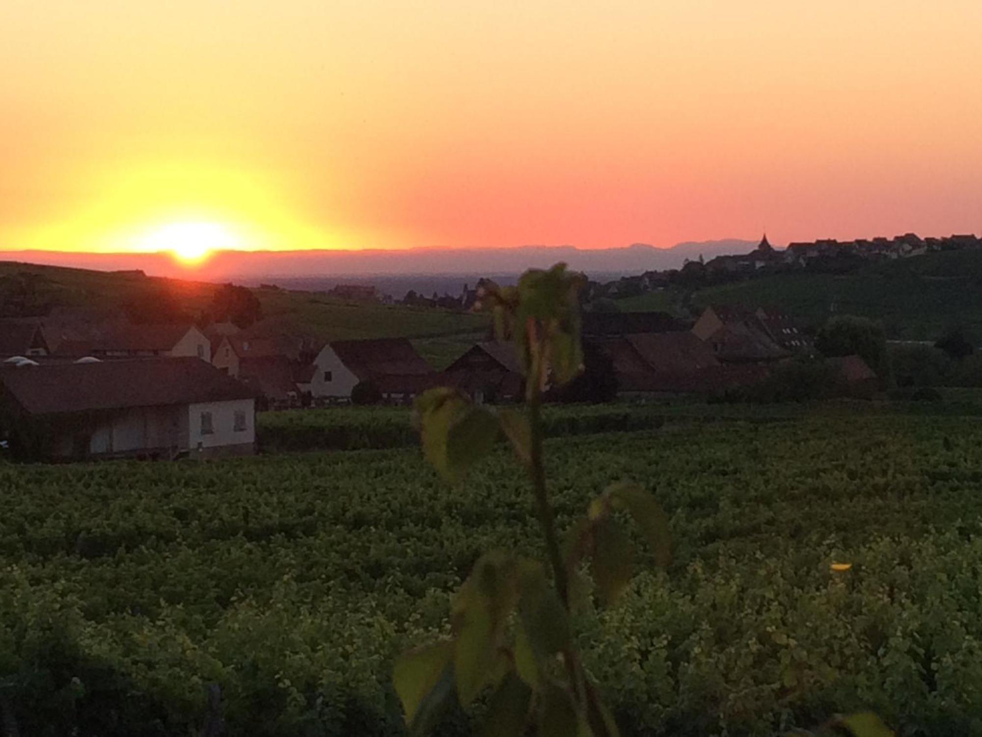 Gite Le Mandle Villa Riquewihr Buitenkant foto