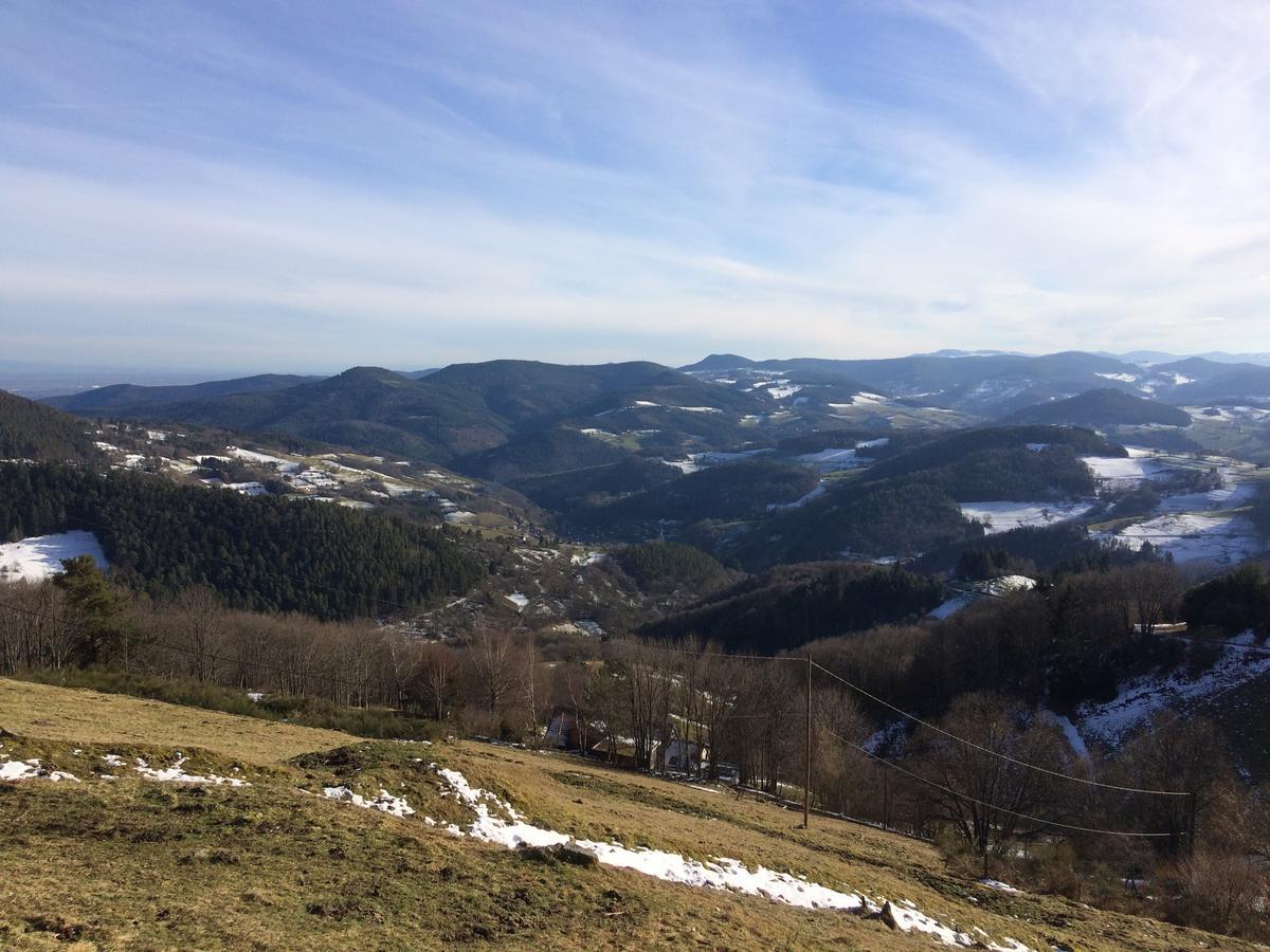 Gite Le Mandle Villa Riquewihr Buitenkant foto