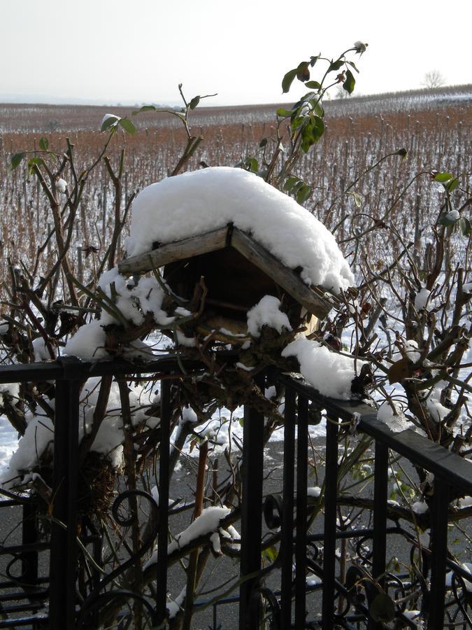 Gite Le Mandle Villa Riquewihr Buitenkant foto