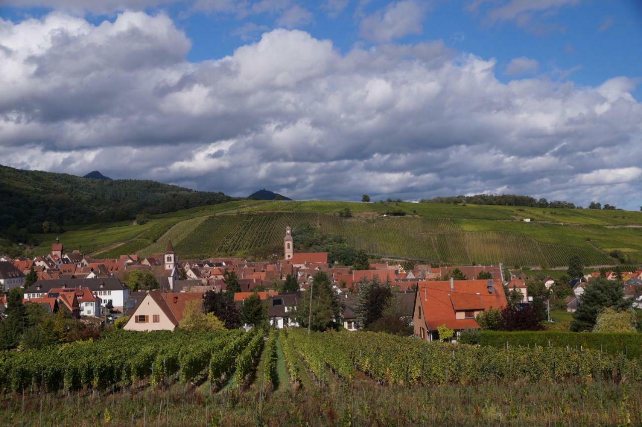 Gite Le Mandle Villa Riquewihr Buitenkant foto